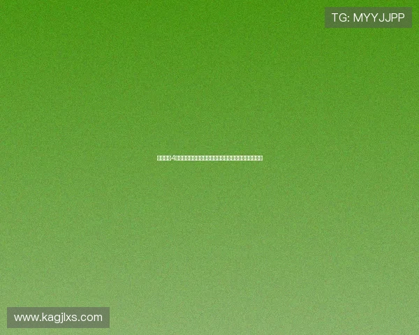 生化危机4修改器全方位功能解析与安全使用指南实战技巧分享大全 生化危机4修改器全方位功能解析与安全使用指南实战技巧分享大全